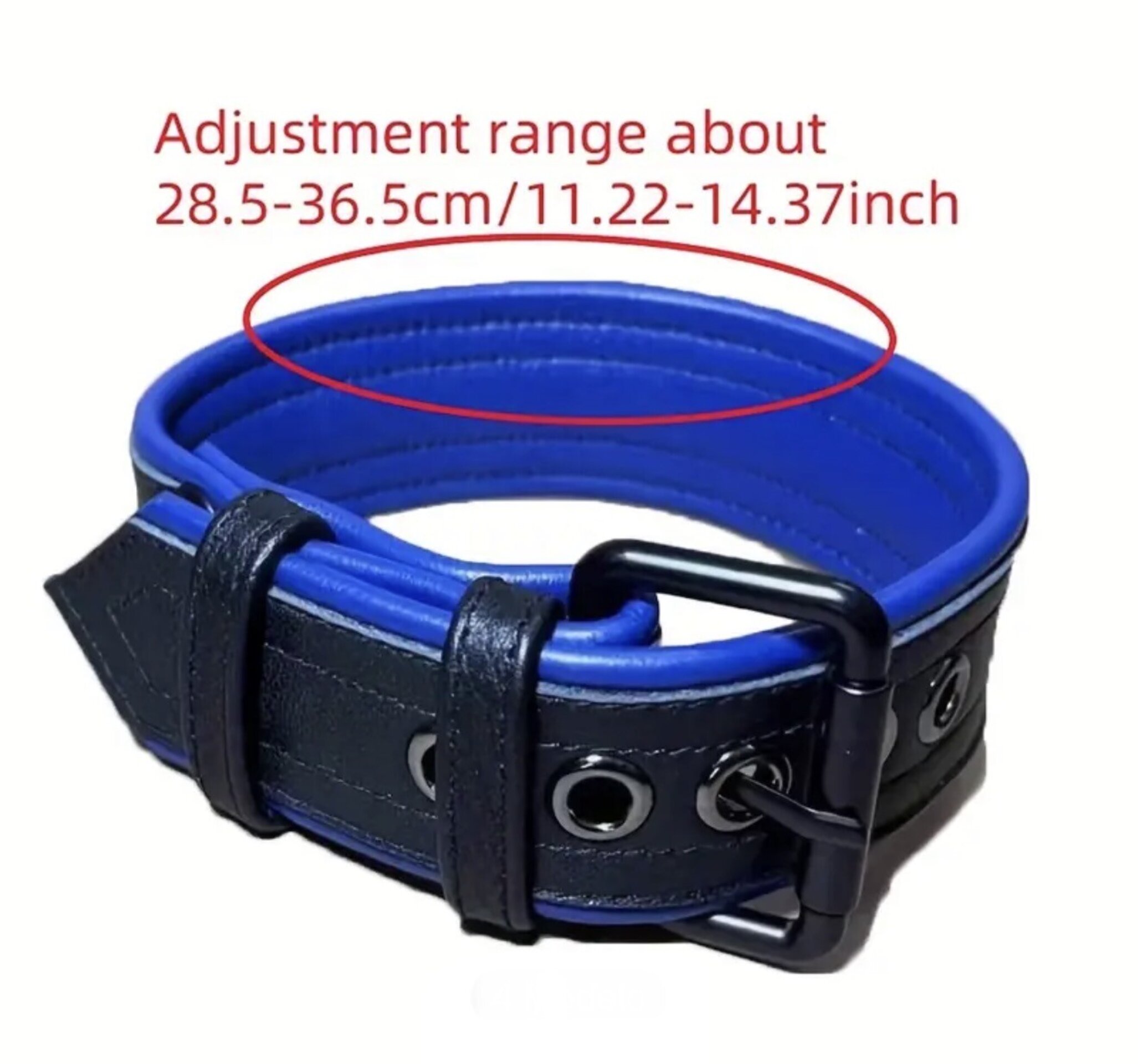 Arnés de pecho y anillo doble para los brazos - 3